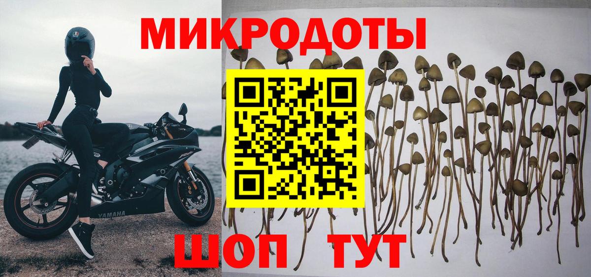 Галлюциногенные грибы Psilocybine cubensis  Вход с VPN  Донецк  Галлюциногенные грибы Psilocybine cubensis 